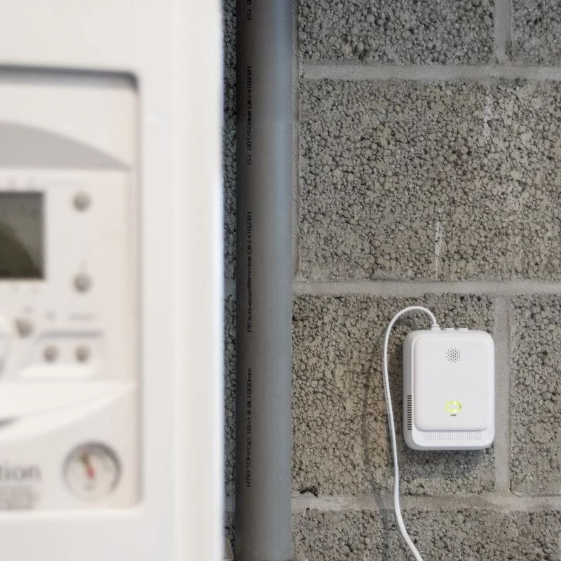 Gas leak detector