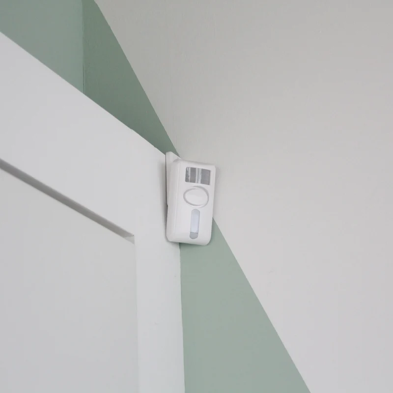 Motion detector with alarm