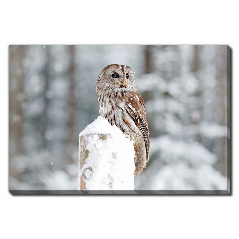 Impression sur toile hibou perché dans la neige, 28'' x 22''