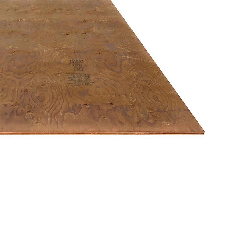 Contreplaqué BC Fir Sélect traité, 3/4" x 4' x 8'
