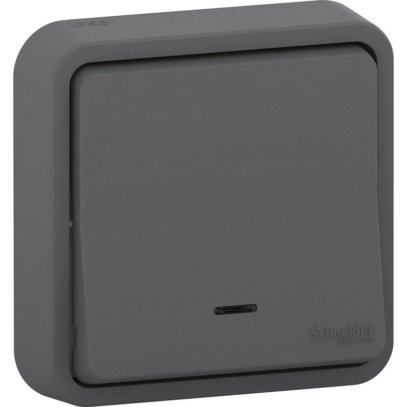 Bouton poussoir + voyant encastré IP55 Mureva - Schneider