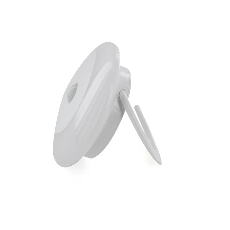 Portable night light with motion detection