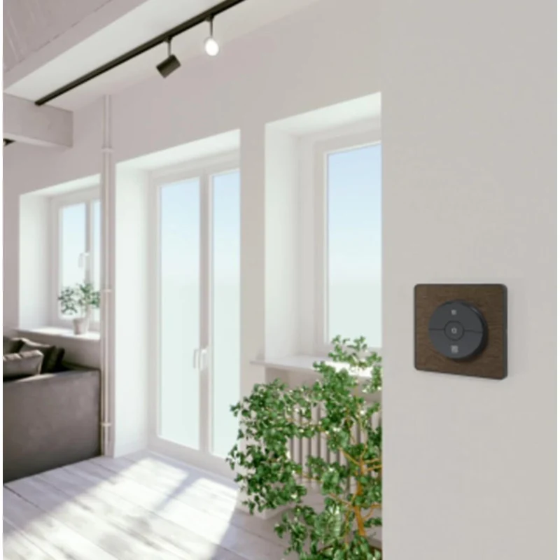 Plaque 1 poste - Odace Touch - Schneider