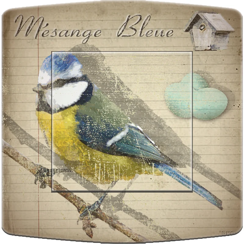 Interrupteur mesange bleue