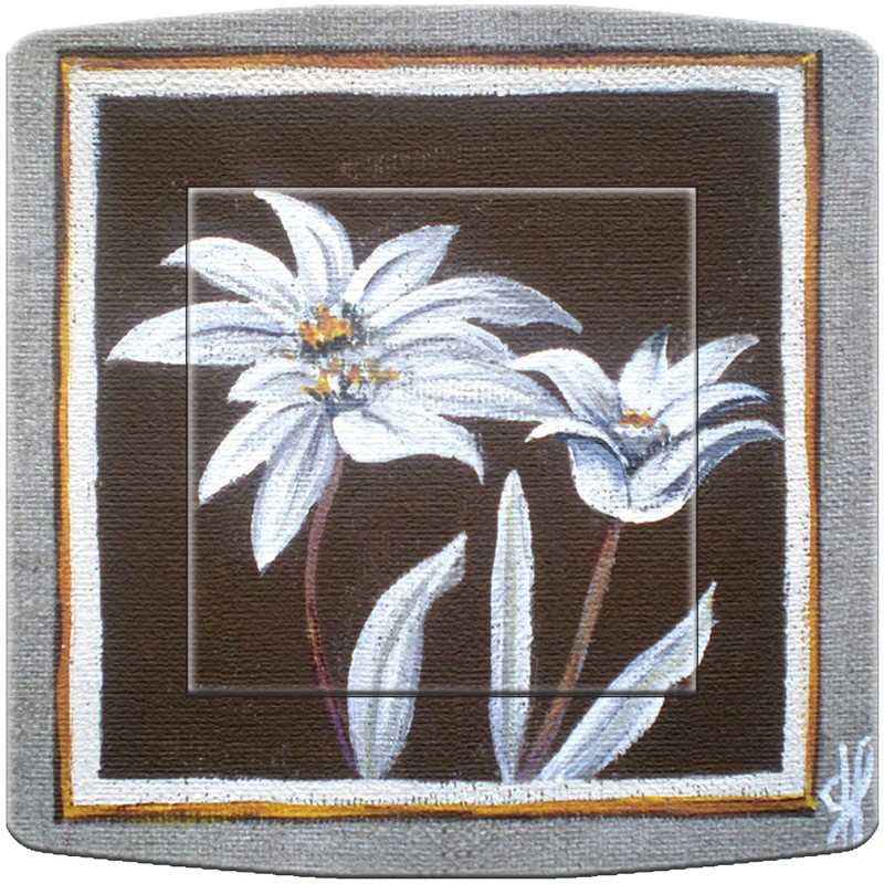 Interrupteur décoré edelweiss 1