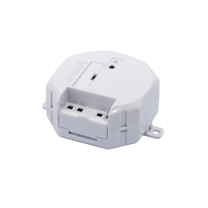 Module for remotely controlled gate or garage door