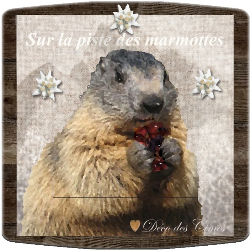 Interrupteur décoré marmotte