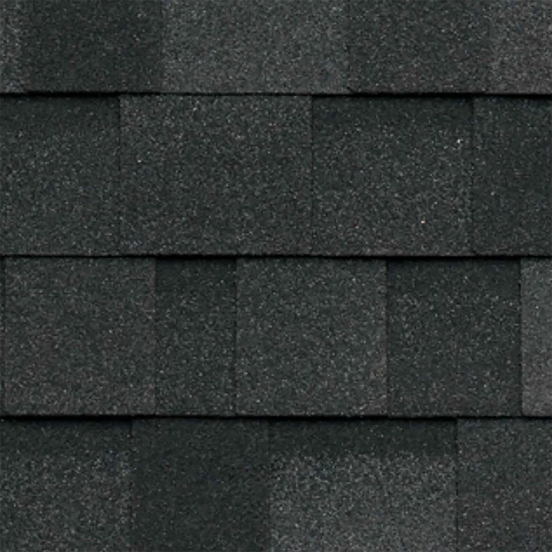 Bardeau d'asphalte Dynasty, noir granite