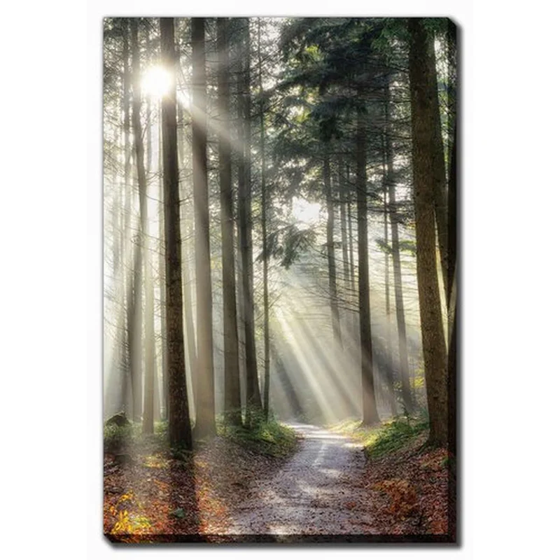 Impression sur toile sentier ensoleillé, 30'' x 45''