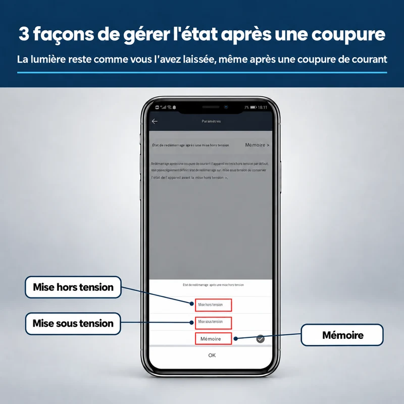 Prise Connectée WiFi Compteur Énergie