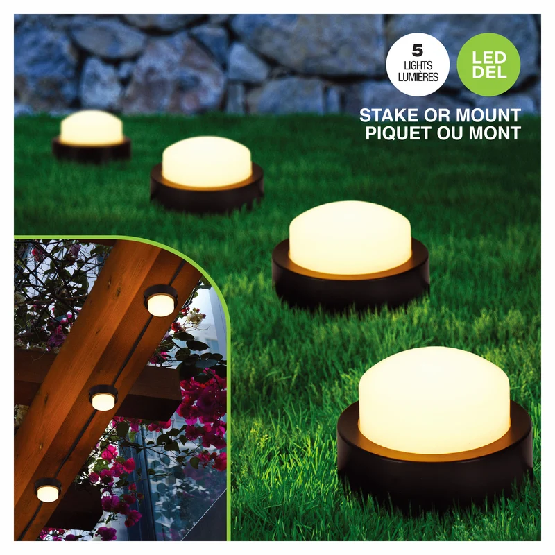 Jeu de mini lampes de paysagement avec piquets, 5 unités