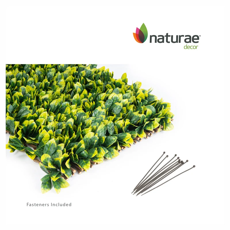 Treillis extensible avec feuilles de laurier, 40" x 80"
