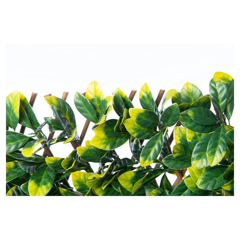 Treillis extensible avec feuilles de laurier, 40" x 80"
