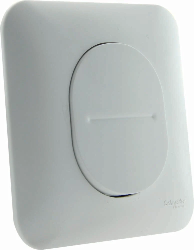 Bouton poussoir 10A connexion auto - Ovalis - Schneider