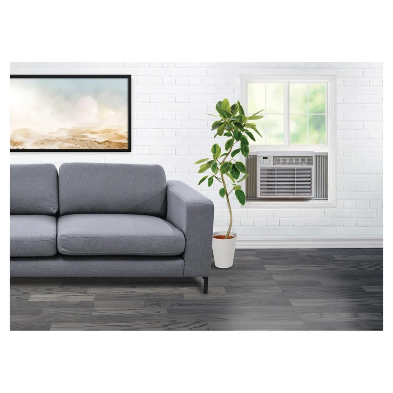 Climatiseur de fenêtre Energy Star, 12 000 BTU