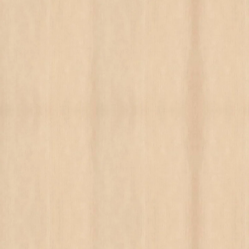 Bande de chant en érable, 7/8" x 25'