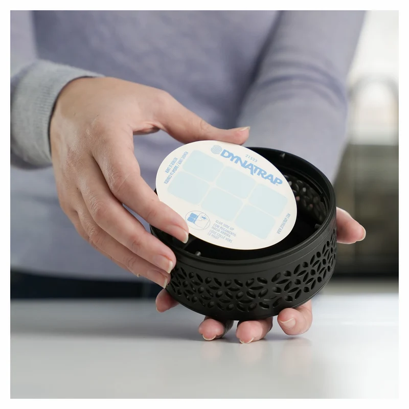 Cartes de rechange adhésives Dynatrap StickyTech, 12 unités