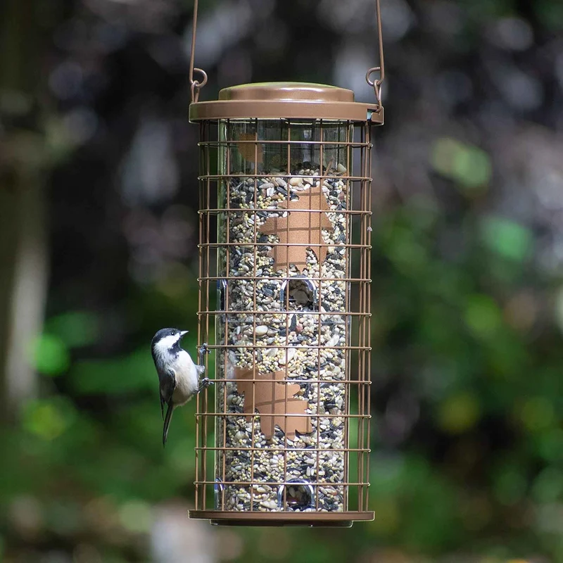 Mangeoire d'oiseaux en laiton anti-écureuil, 3 lb de graines