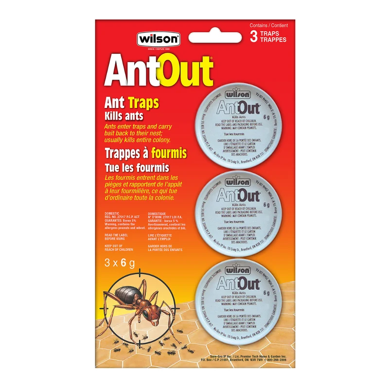 WILSON AntOut Piège à fourmis
