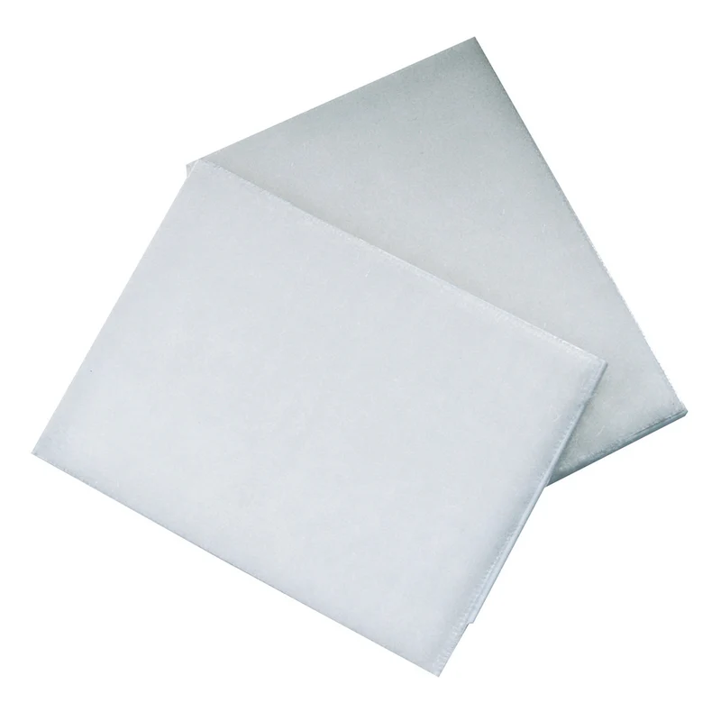 Tampons de rechange (paquet de 2)