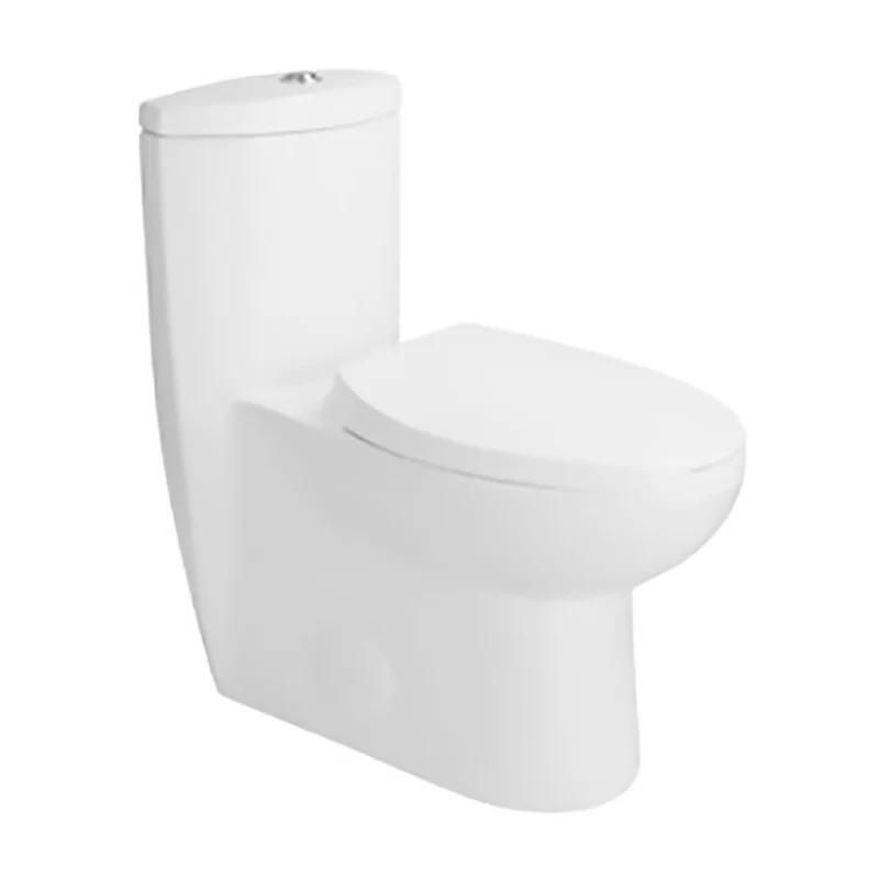 Toilette monobloc Iris à double chasse avec siège à fermeture lente, 4 L ou 6 L