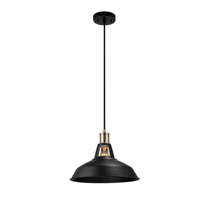 Luminaire suspendu Robin à 1 lumière, enfichable ou à câbler