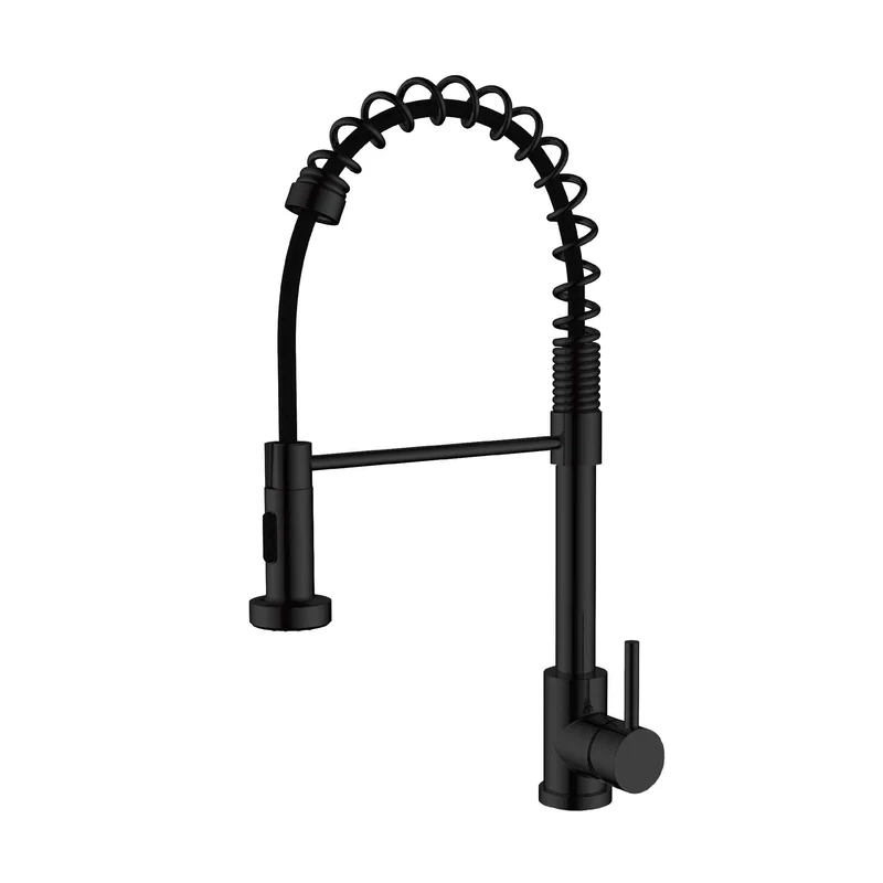 Robinet de cuisine noir mat avec bec amovible pivotant, 20-1/4"